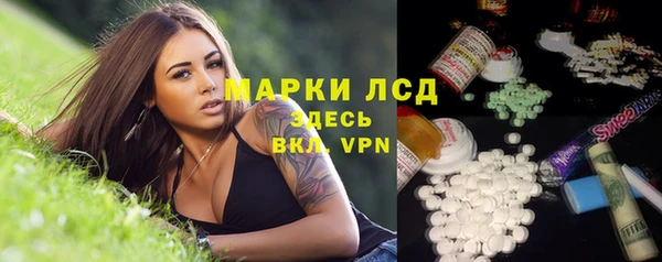 СК Новодвинск