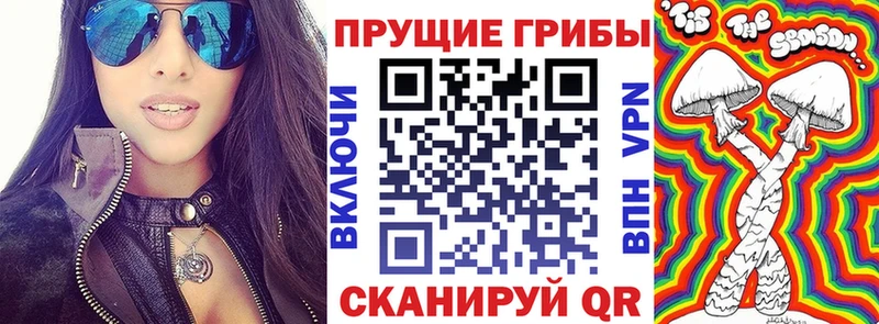 Галлюциногенные грибы мицелий  хочу   Спас-Клепики 