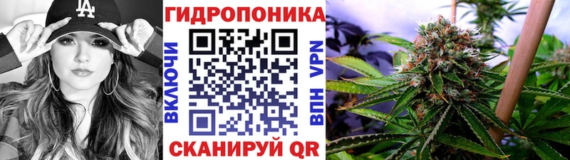 Конопля LSD WEED  сколько стоит  дарк нет телеграм  Спас-Клепики  кракен  